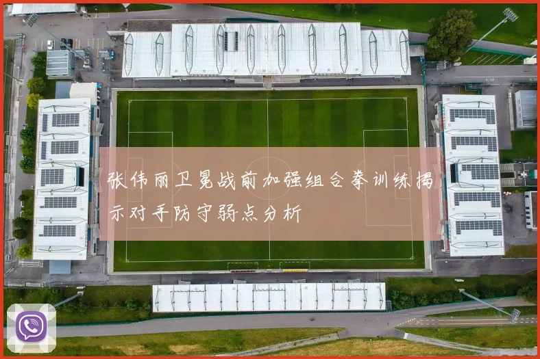 张伟丽卫冕战前加强组合拳训练揭示对手防守弱点分析